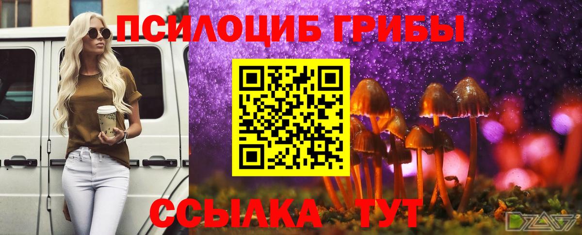Псилоцибиновые грибы мухоморы Кропоткин